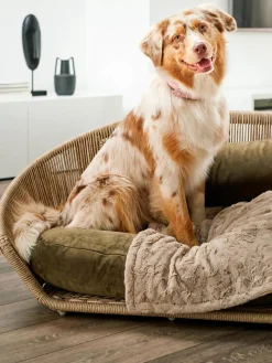 Hot Laboni Panier pour chien intérieur-extérieur Vogue Vert olive, beige