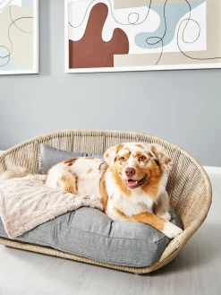 Clearance Laboni Panier pour chien intérieur-extérieur Vogue Gris clair, beige