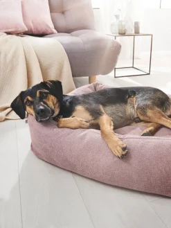 Discount Laboni Panier pour chien Tudor, tailles variées Vieux rose