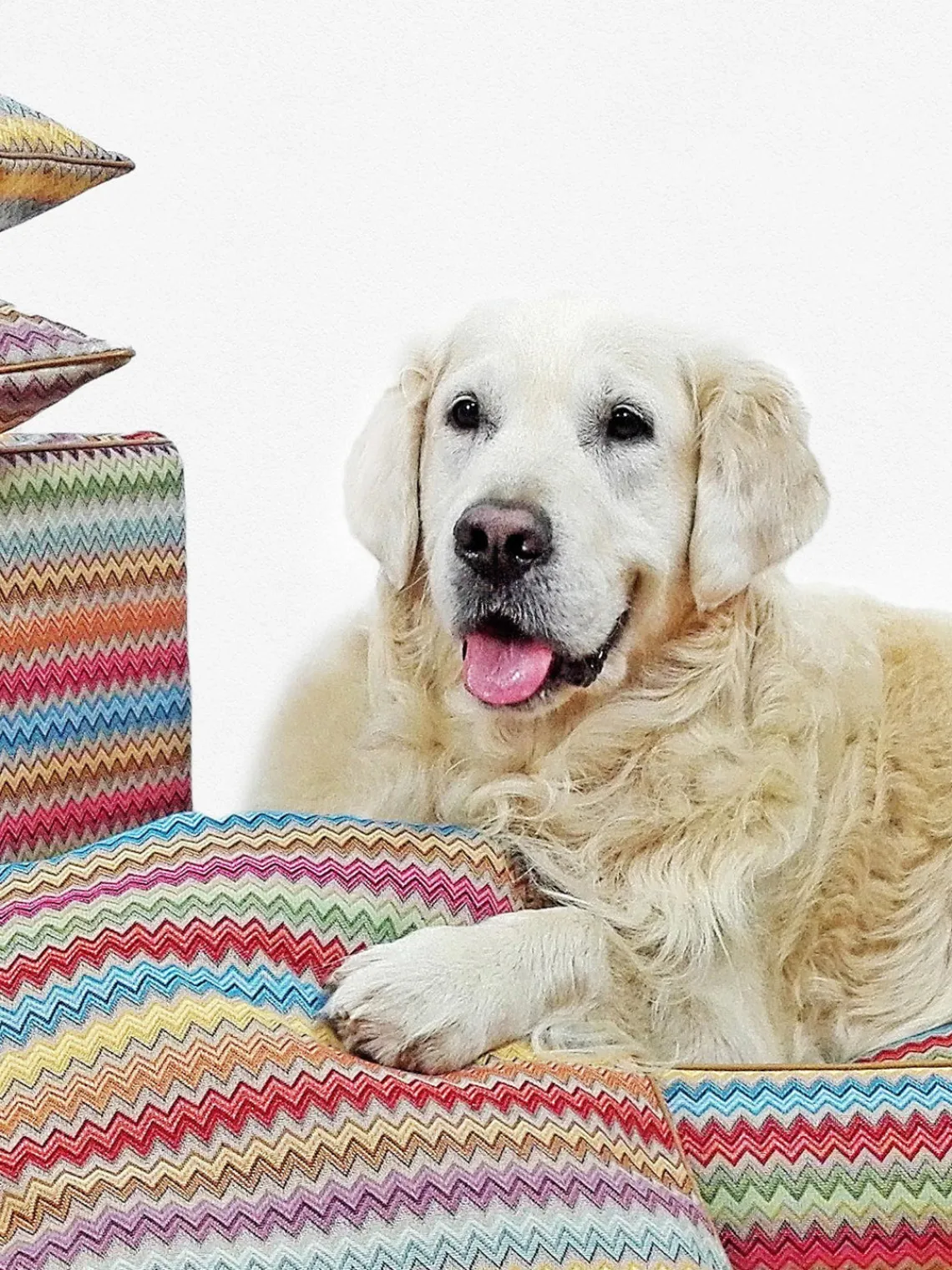 New Dandy Dog Panier pour chien Zik Zak No. 2