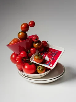 New iittala Petit plat de service en porcelaine Taika Rouge