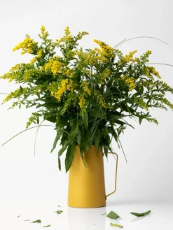 Fashion knIndustrie Pichet à eau Diario, 2 L Jaune