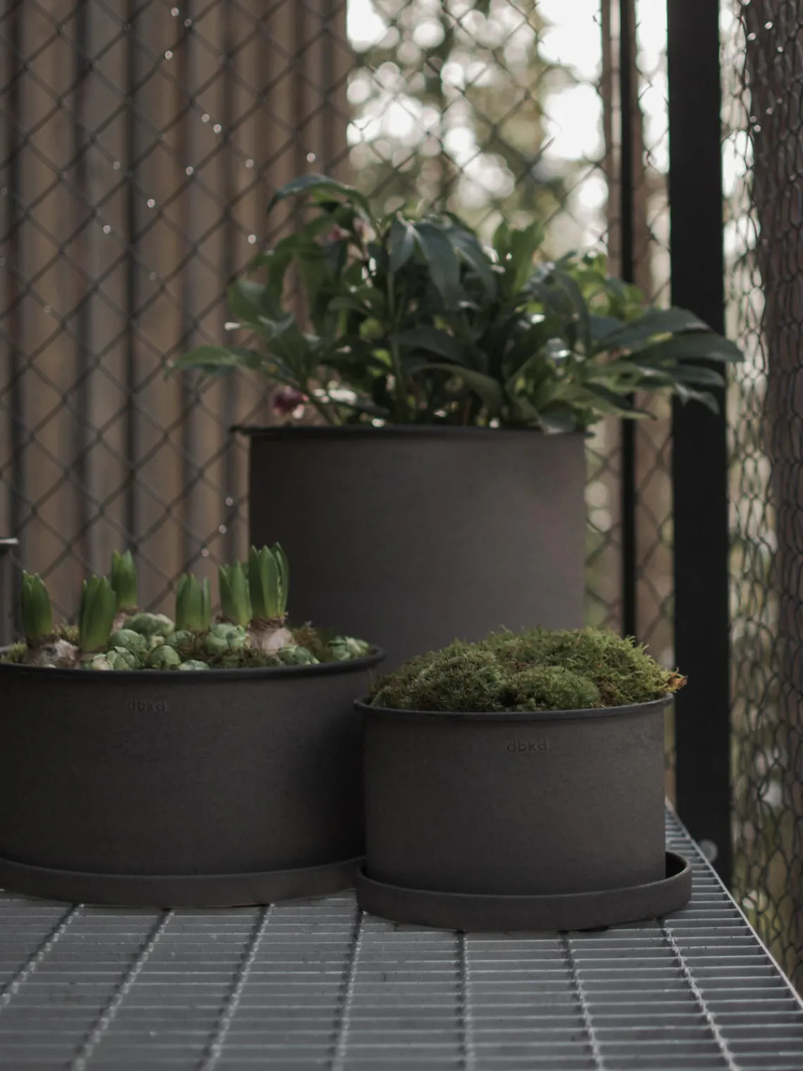 Fashion DBKD Pots de fleurs Plant, 2 élém. Taupe, mat