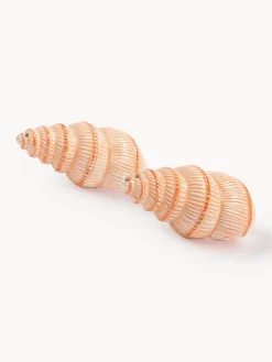 Discount &k Amsterdam Salière et poivrière en dolomite peintes à la main Shell, 2 élém.