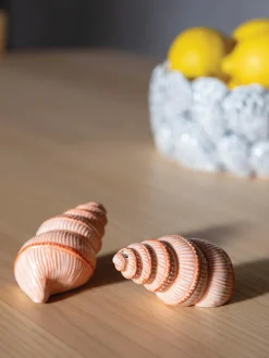 Discount &k Amsterdam Salière et poivrière en dolomite peintes à la main Shell, 2 élém.