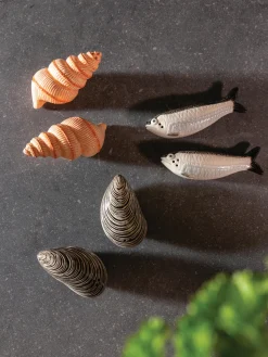 Discount &k Amsterdam Salière et poivrière en dolomite peintes à la main Shell, 2 élém.