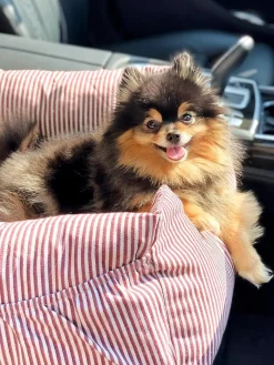Online Wahre Tierliebe Siège auto pour animaux domestiques Premium, tailles variées Rouge, blanc