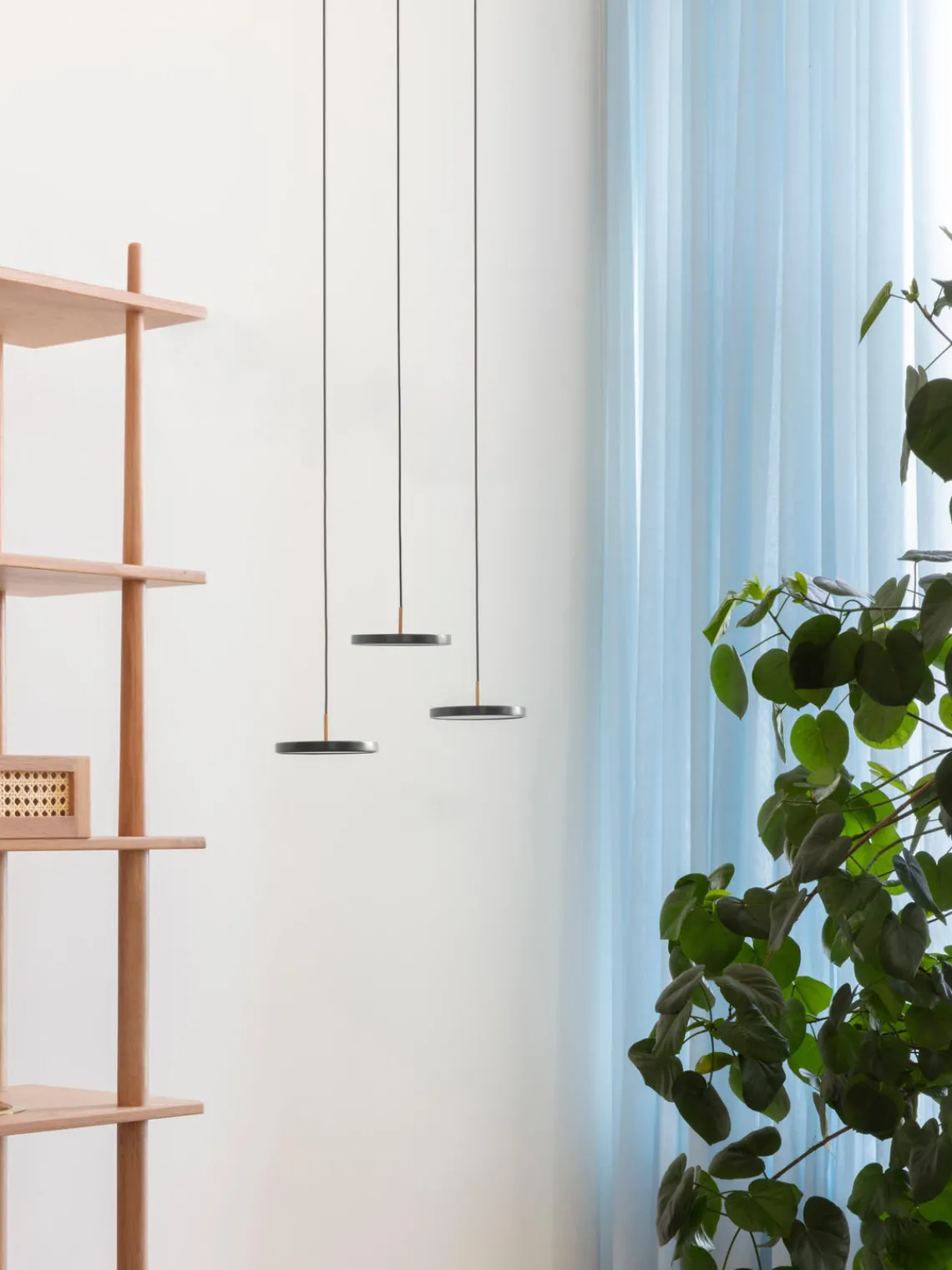 Outlet UMAGE Suspension LED design Asteria, tailles variées Anthracite