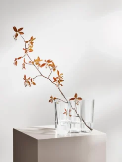 Best iittala Vase en verre soufflé bouche Alvaro Aalto, haut. 16 cm Transparent