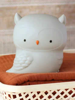 Clearance A Little Lovely Company Veilleuse avec fonction minuterie Owl, intensité lumineuse variable