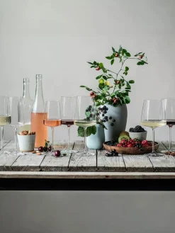 Hot Zwiesel Glas Verres à vin en cristal Vivid Senses, 2 pièces